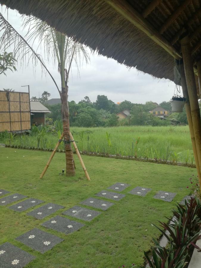 Hello Canggu Homestay Esterno foto